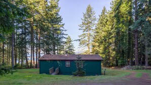 Une petite cabane à un seul étage, avec un toit rouge, entourée de grands pins.