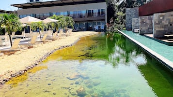 Basic Apartment | Pool