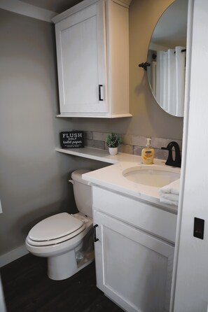 Secadora de cabello, toallas, jabón, shampoo