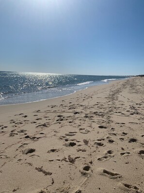 Beach - Serene oasis that abuts 500 acres of conservation land near a secluded beach. (Nantucket)