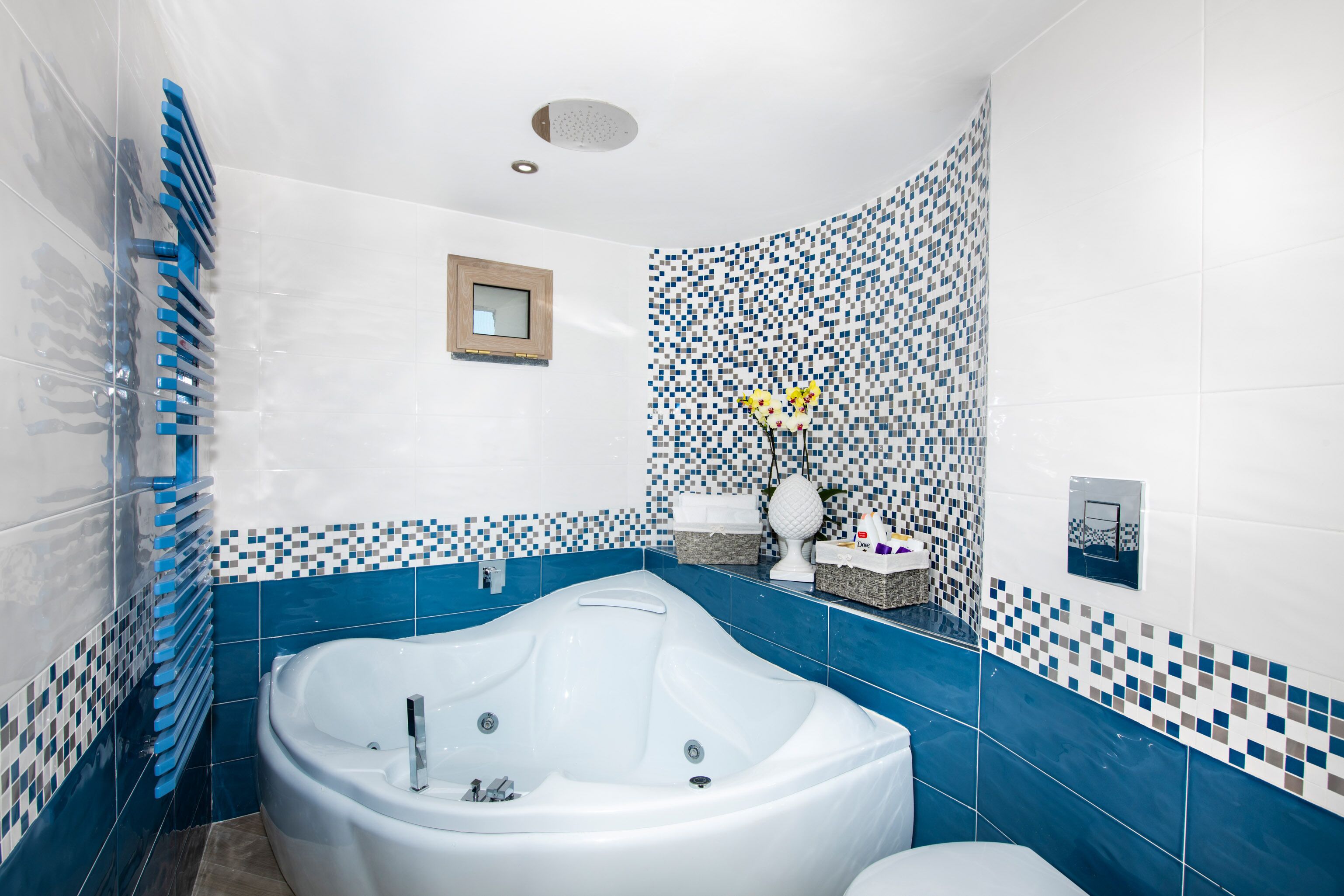 Une salle de bain avec une baignoire sur pieds, des toilettes et un espace douche.