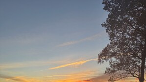 A sunset over a body of water with a grassy area and a tree in the foreground.