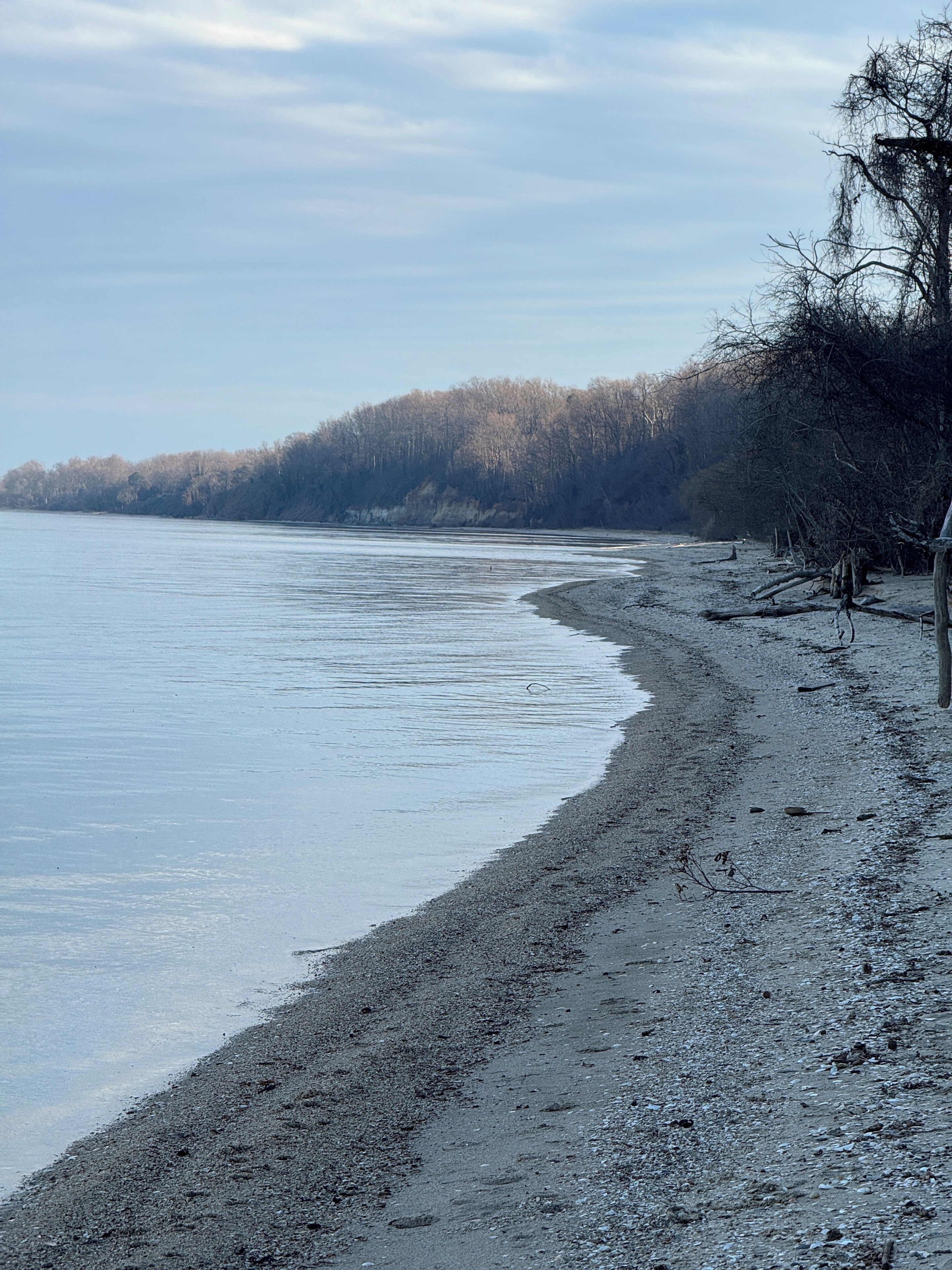 A beach with a pebbly shore and a forested hillside in the background.