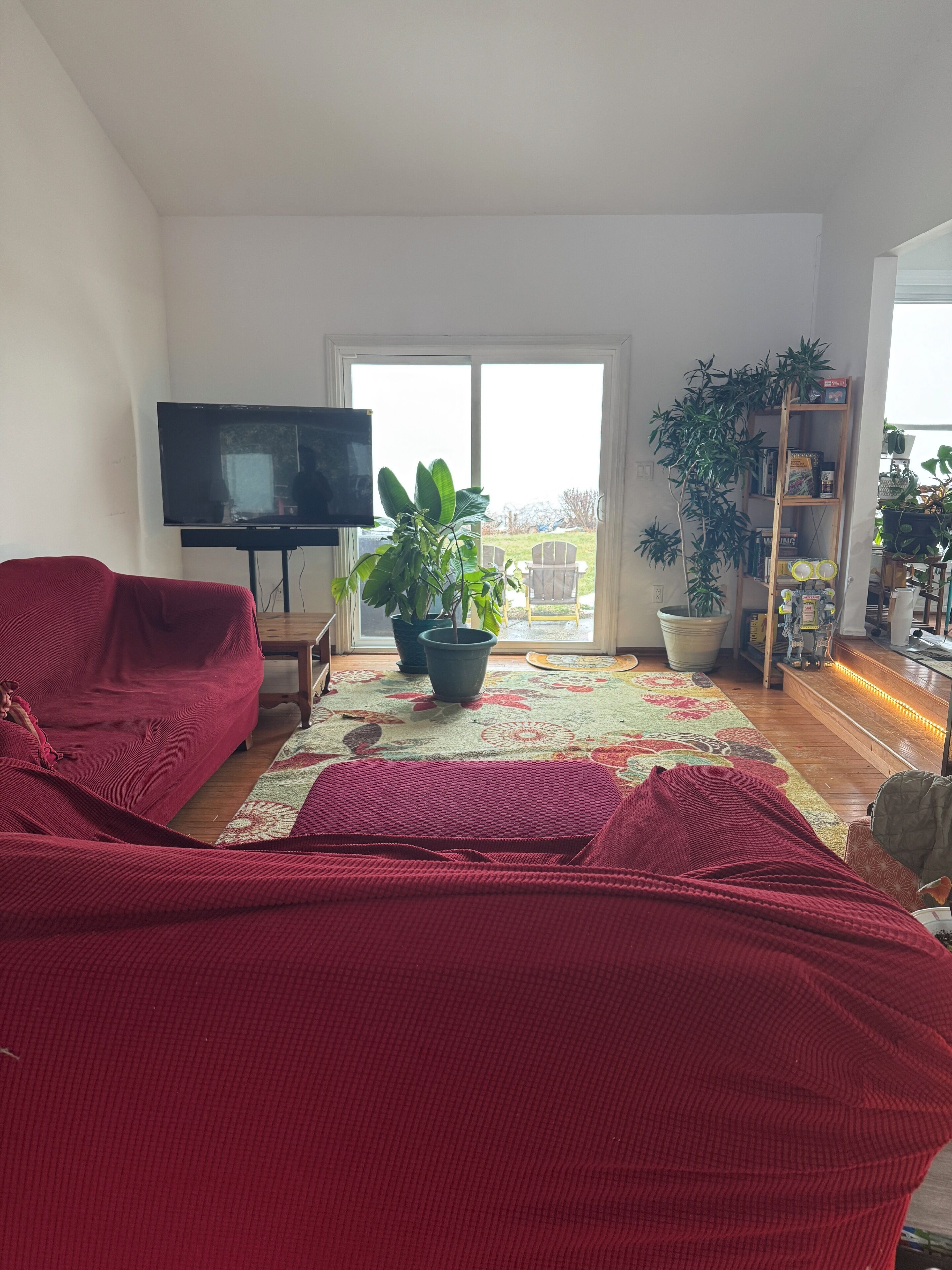 En stue med en rød sofa, et fjernsyn, en potteplante og udsigt til det fri gennem en skydedør.