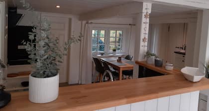 Liebevoll Saniertes Ferienhaus in Ruhiger Warftlage in DagebĂŒll-kirche