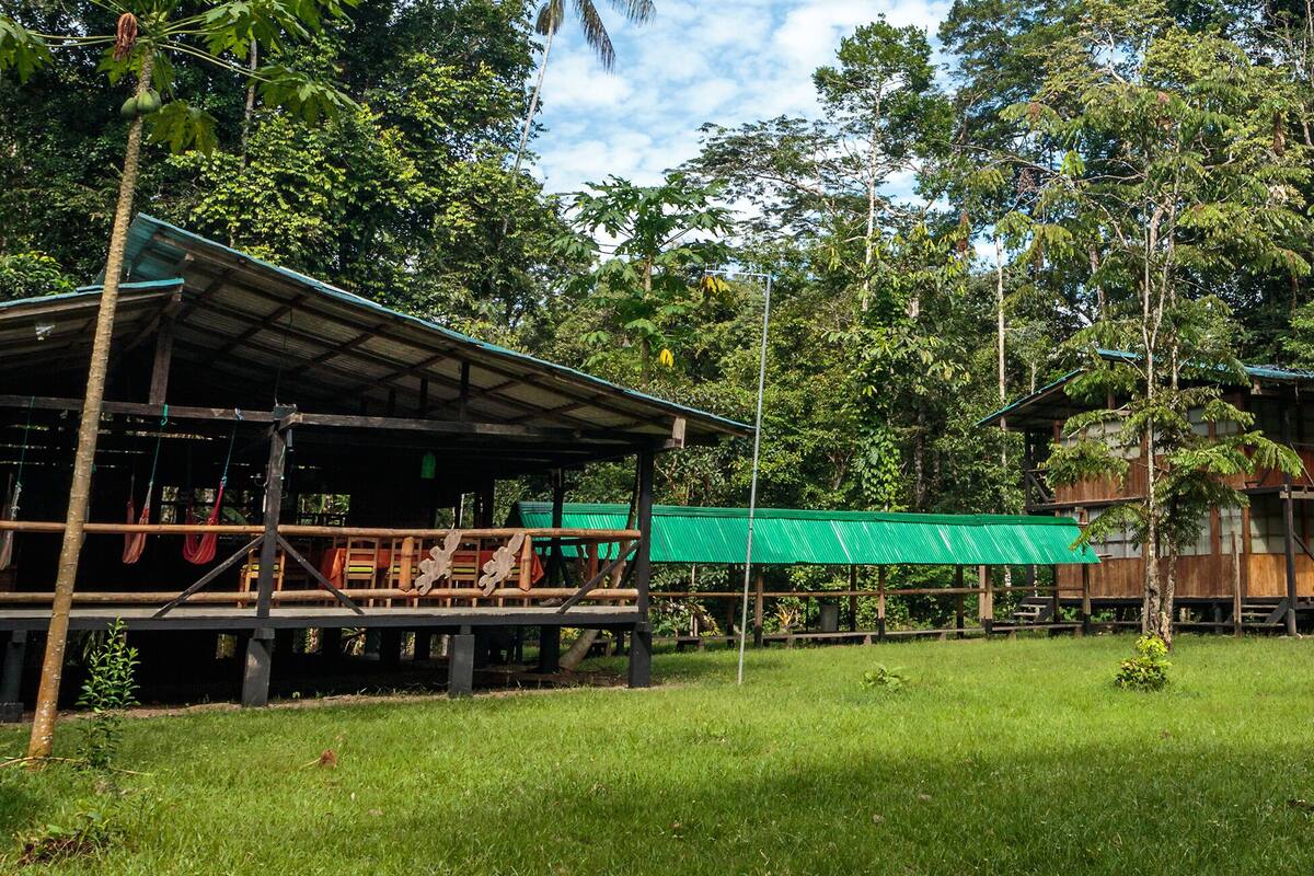 A rustic wooden structure with a green roof, surrounded by lush greenery and trees.