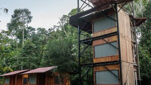 A wooden cabin with a metal staircase, surrounded by dense forest.