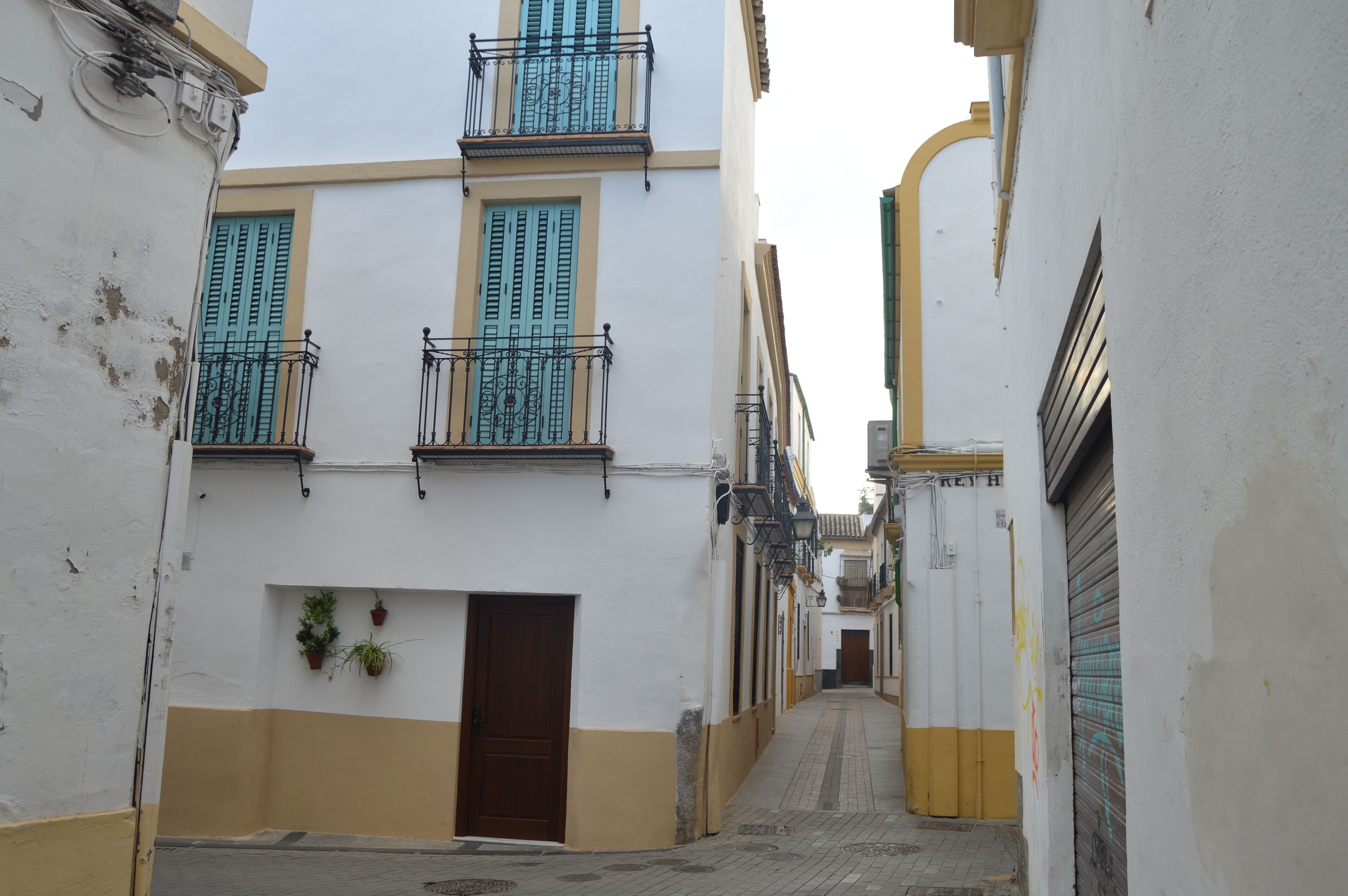 A narrow street with white and yellow buildings, closed shutters, and potted plants.