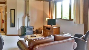 Een gezellige woonkamer met een open haard, een televisie en een comfortabele zithoek.