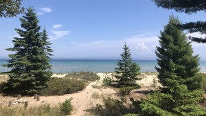Ein Strand mit Sand, Bäumen und blauem Himmel.