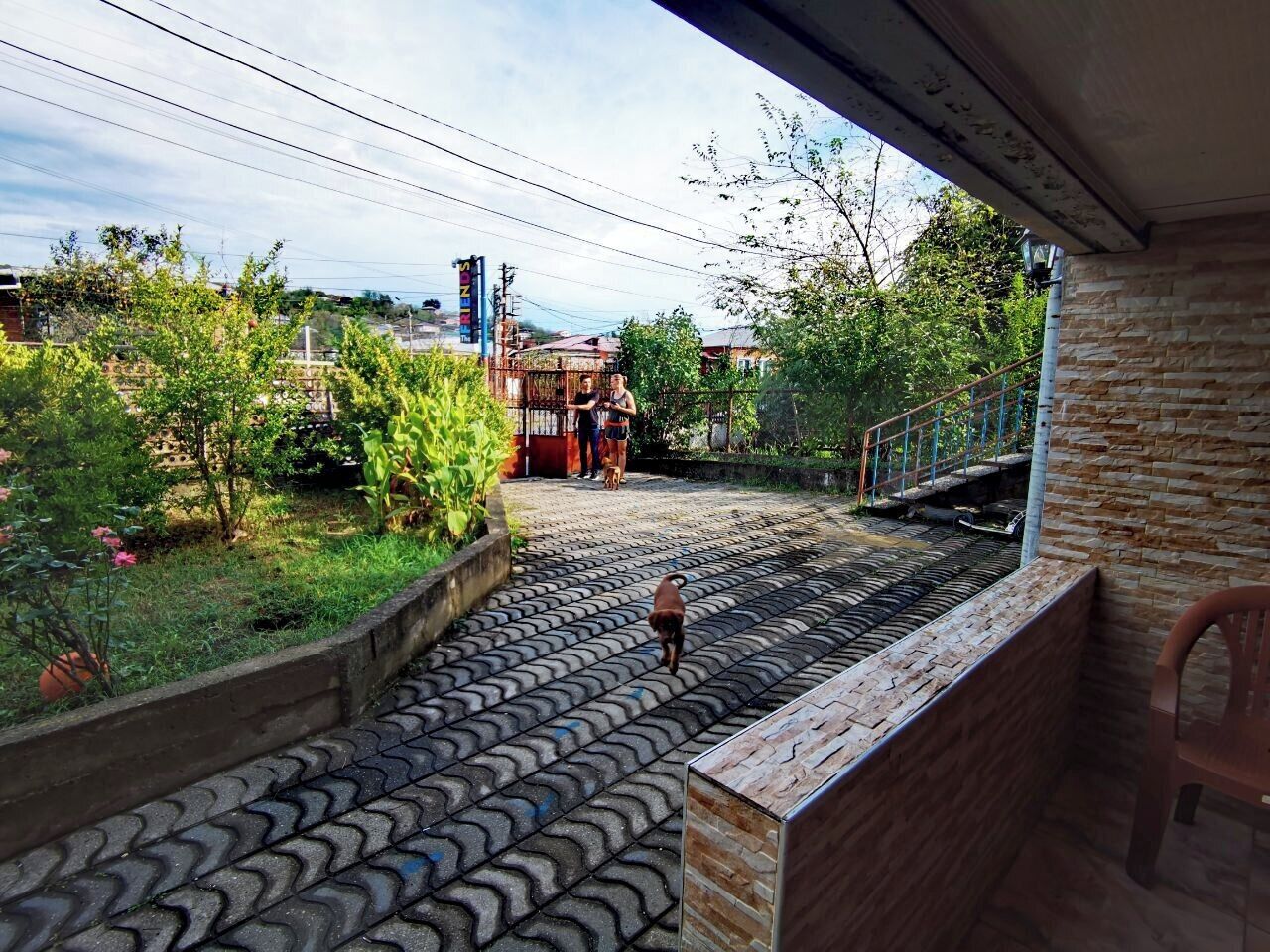 Photo - The Friends Hostel & Sauna