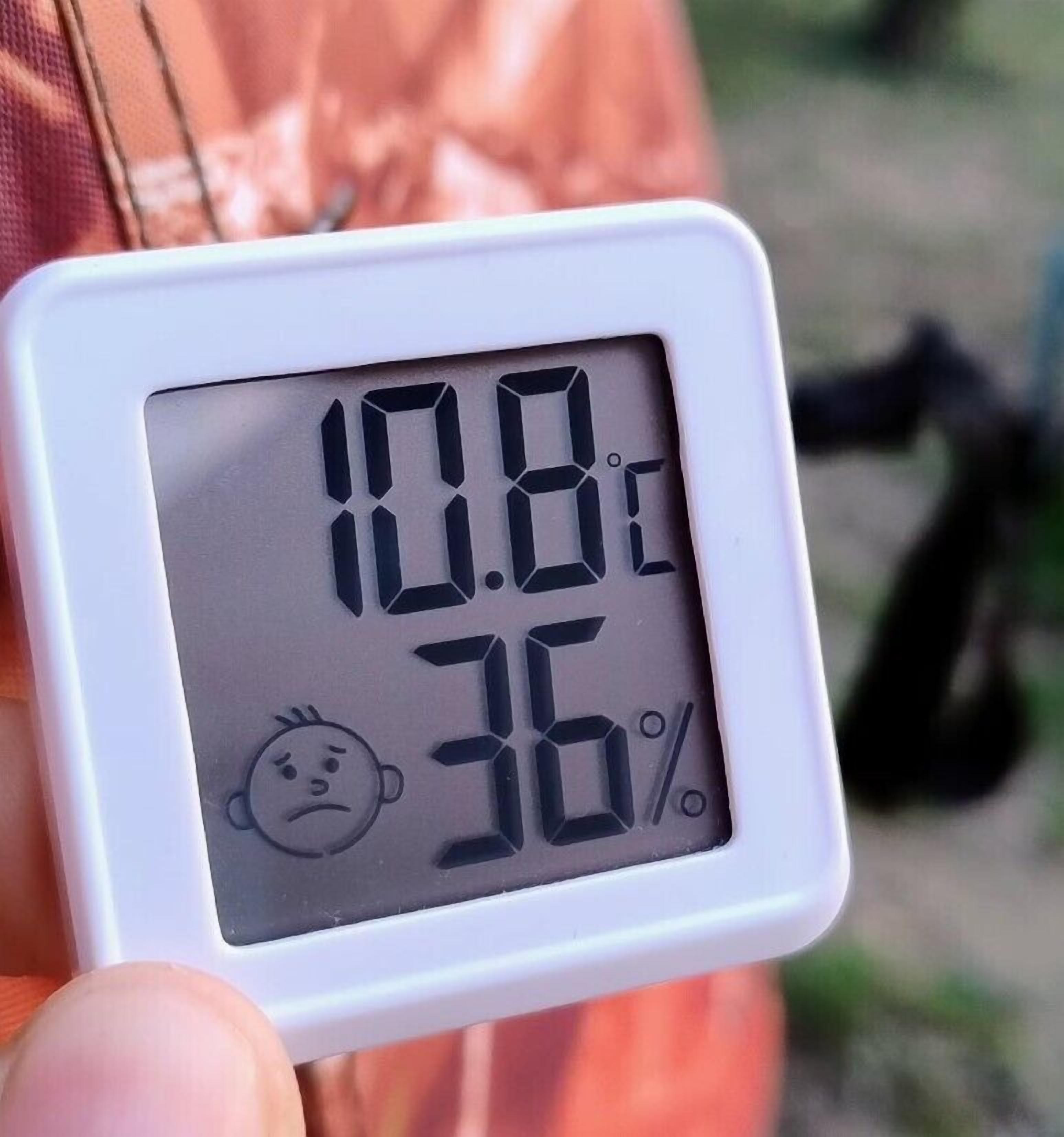 Foto - The Friends Hostel & Sauna