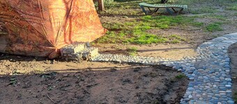 The Friends Hostel & Sauna