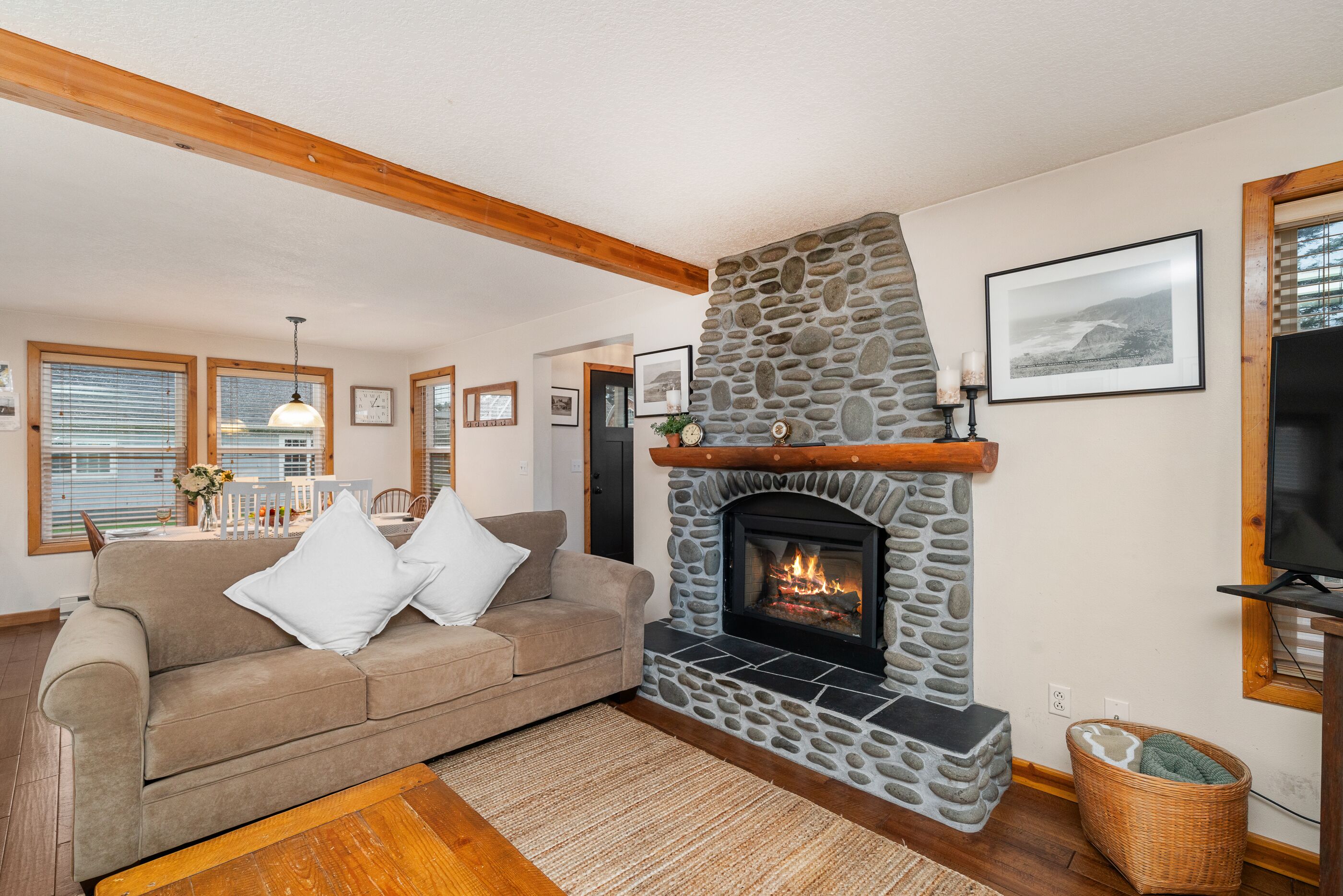 TV connectée, cheminée, lecteur de DVD, livres