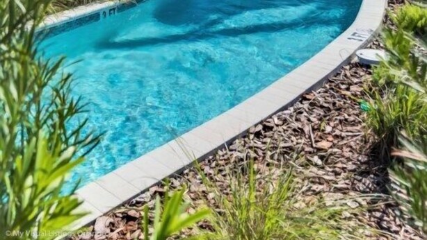 A curved swimming pool with a wooden bridge, surrounded by palm trees and lounge chairs. - Relaxing 5 Bed Townhome with Splash Pool-3966LA (Davenport)