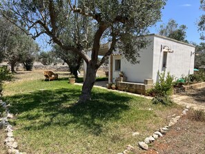 Property grounds - 1 bedroom apartment in puglia (Puglia)