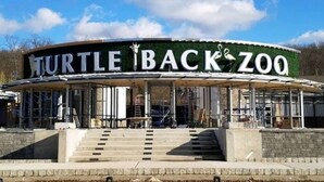 A building with a sign reading "Turtle Back Zoo".