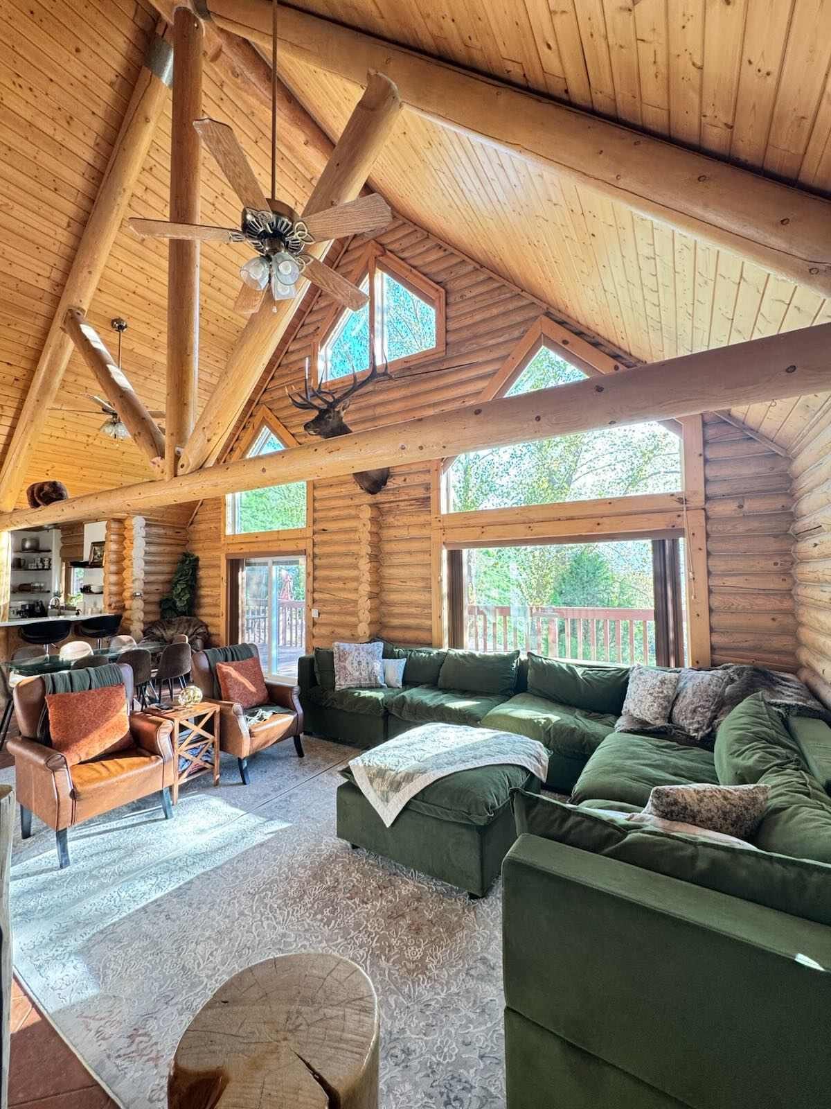 Fernseher, Kamin, Videospiele, Bücher