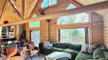 TV, fireplace, video games, books