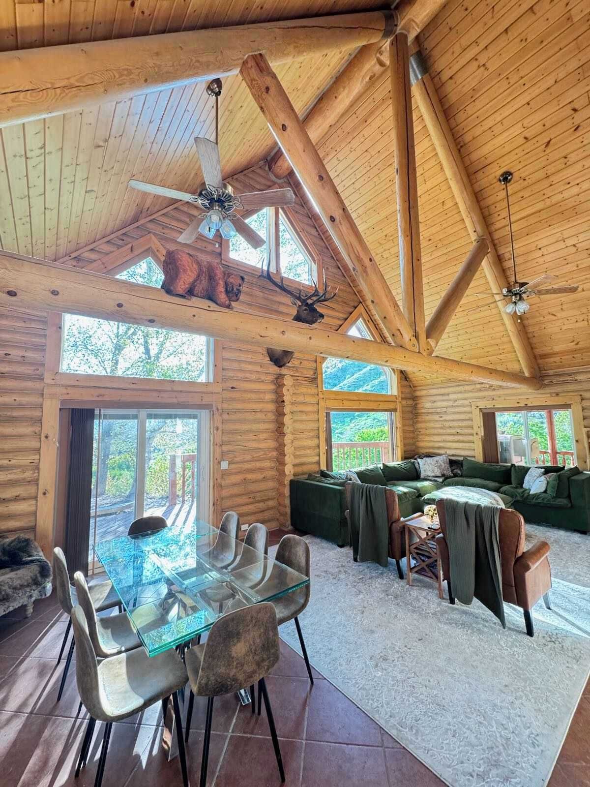 TV, fireplace, video games, books