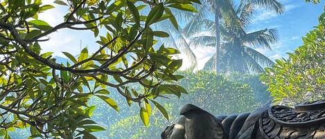 Voorkant van accommodatie