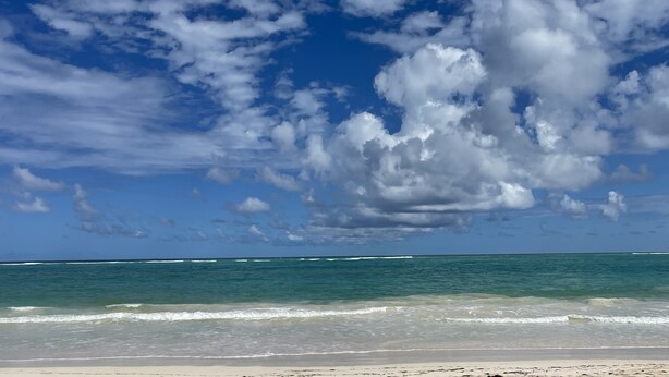 Ein Strand mit blauem Himmel und Wellen.