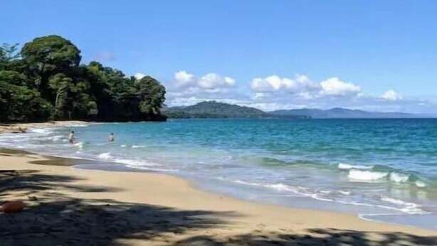 A beach with clear blue water, sandy shore, and lush green trees. - El Caracol Azul #2, Punta Uva Beach (Punta Uva)
