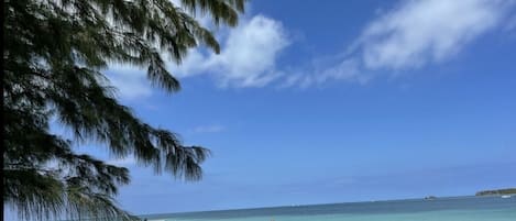 Sun-loungers, beach towels