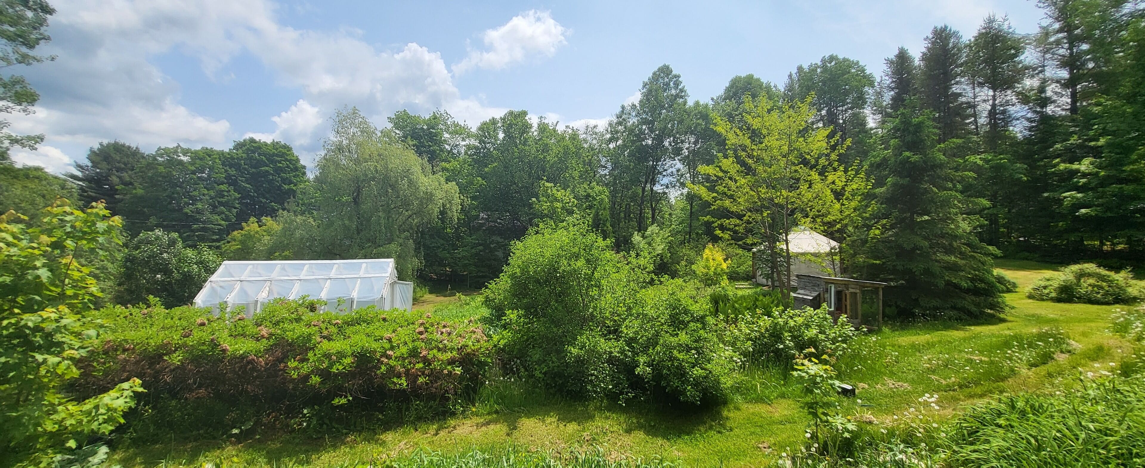 A greenhouse, a wooden structure, and dense greenery in a garden setting.