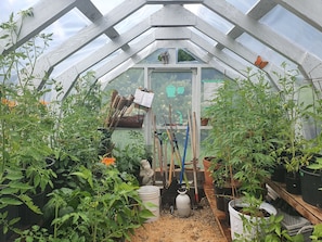 A greenhouse with various plants, gardening tools, and a white gas cylinder on the ground.