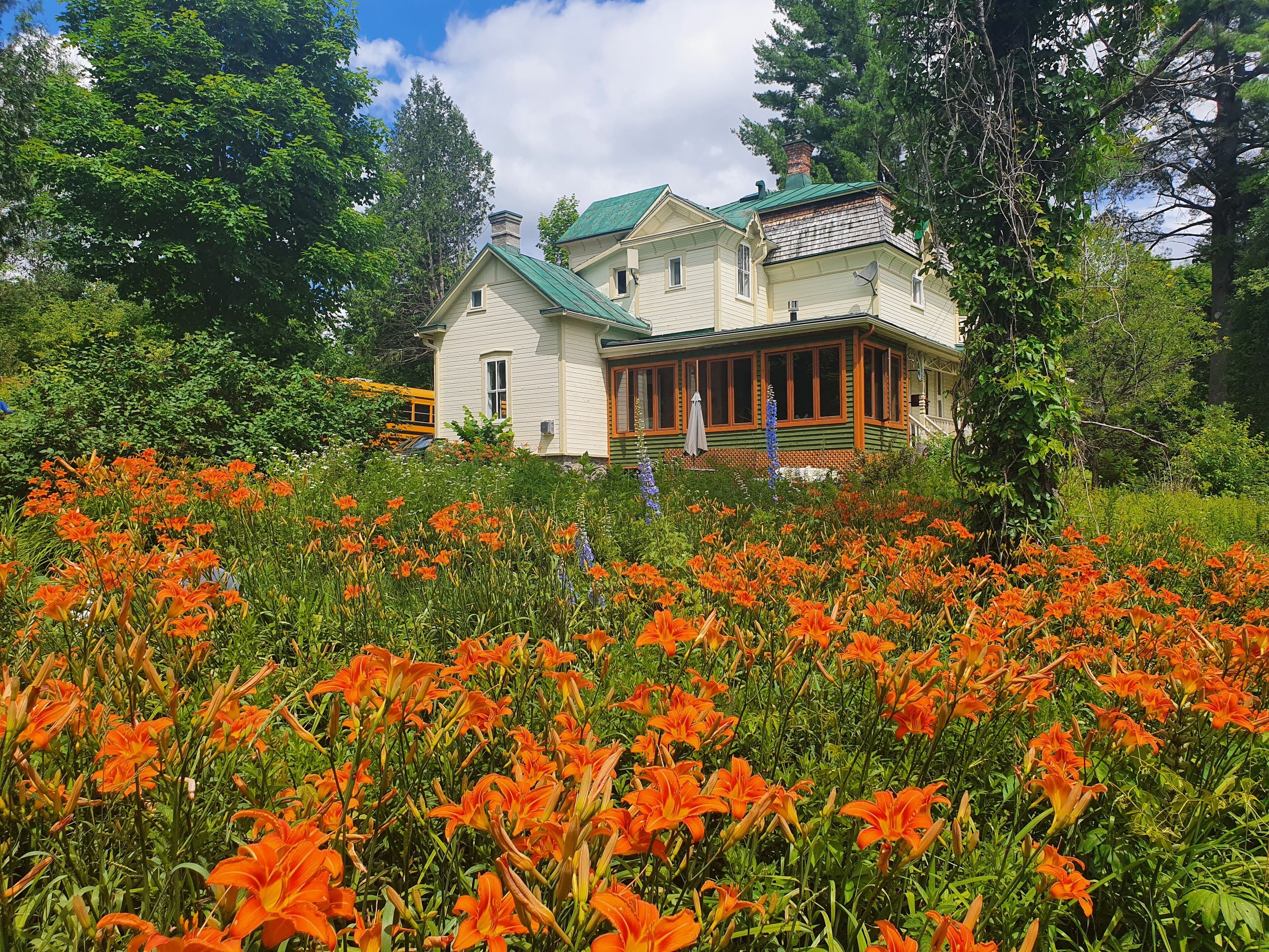 Ein großes Haus mit grüner Dachbegrünung, umgeben von einem Garten mit orangefarbenen Blumen.