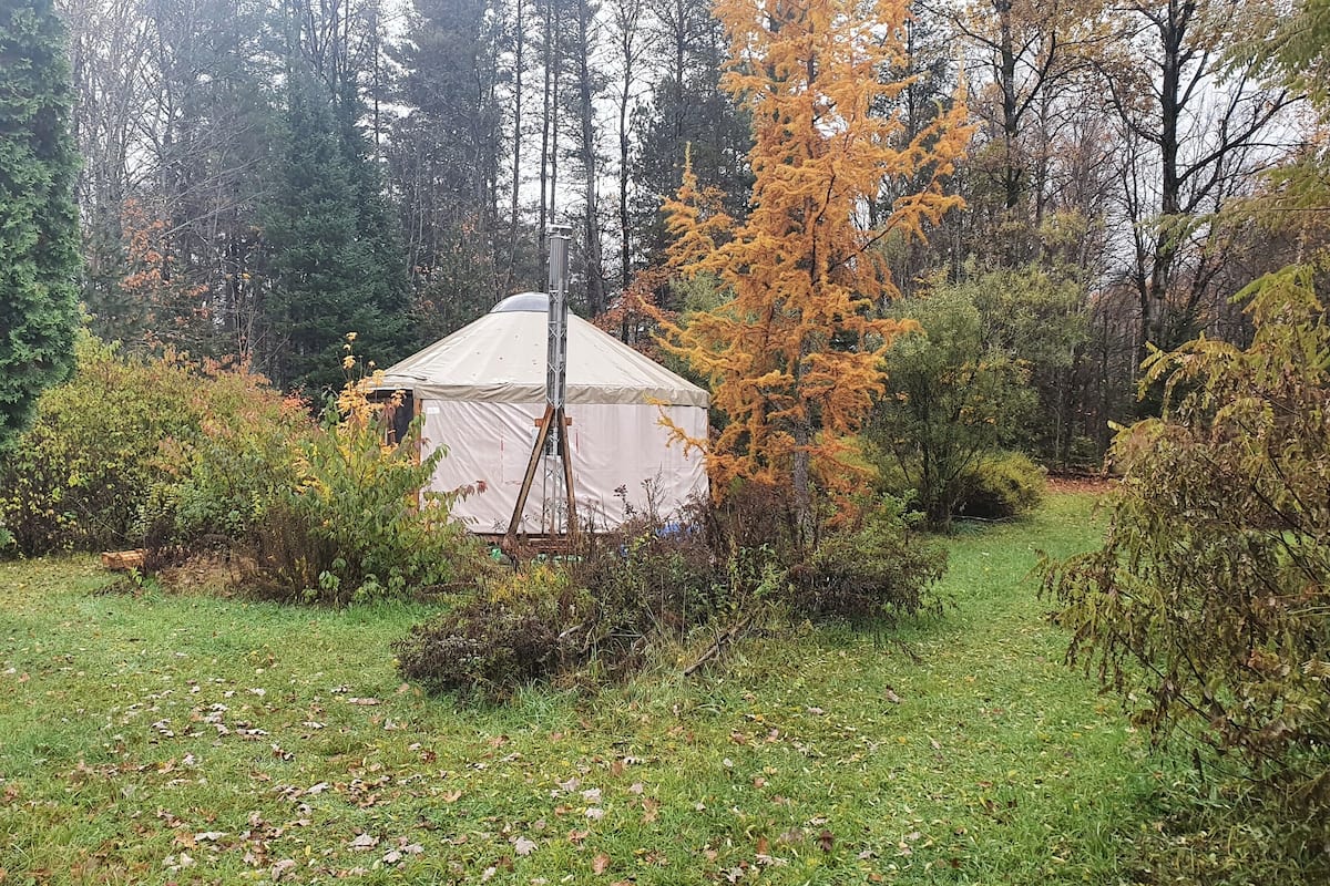 A tent-like structure surrounded by dense foliage and trees.