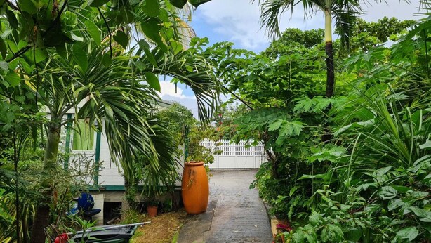 A narrow pathway flanked by lush greenery and a large terracotta pot. - Gite Creole (VIEUX-HABITANTS)