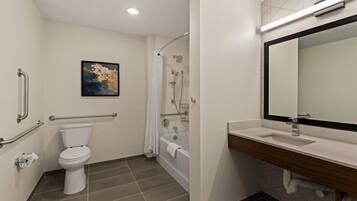 Een badkamer met toilet, douche en wastafel.