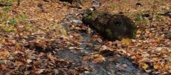 The Sunlin Branch Campground 3