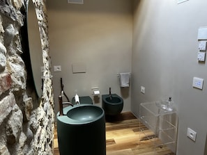 Douche, séchoir à cheveux, bidet, serviettes fournies