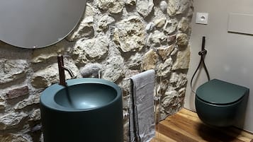 Shower, hair dryer, bidet, towels