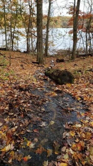 Property grounds - The Sunlin Branch Campground 7 (Gobles)
