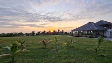 Ngoại thất