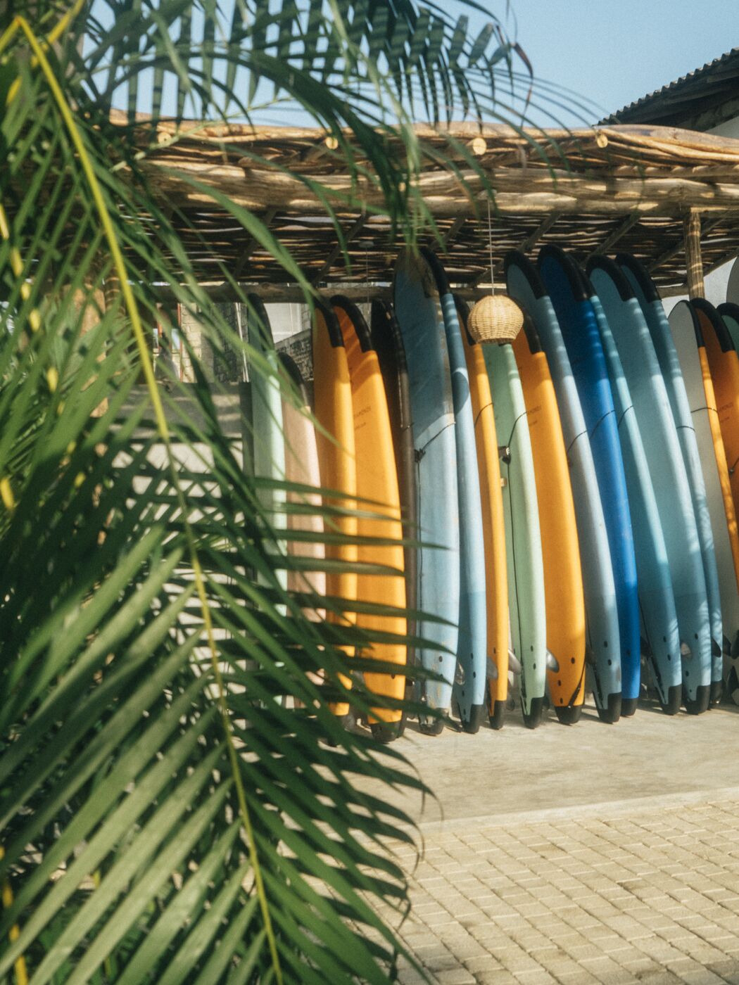 Selancar/boogie boarding