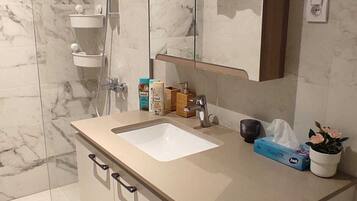 Shower, hair dryer, towels, soap