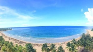 A beach with palm trees and a clear blue sky. - Luquillo beachfront apt., beautiful ocean view! (Luquillo)