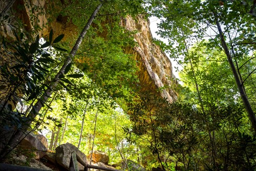 Hot Tub (Private) | Dogs OK | FirePit | MuirValley | Hiking