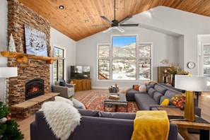 TV, fireplace