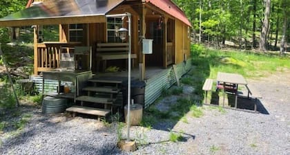Primitive Cozy off grid tiny home with Starlink