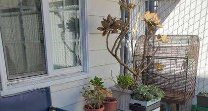 Mission Beach Cottage available for 30 + night rentals.