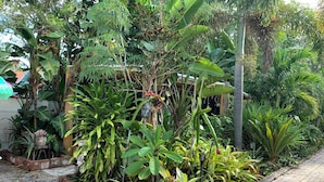 A garden with various tropical plants, a brick pathway, and a wooden fence. - Historical botanical beach house (Lake Worth Beach)
