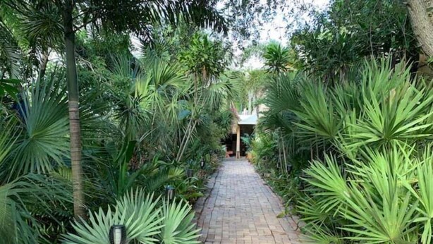 A brick pathway flanked by lush tropical plants leading to a building with a sloped roof. - Historical botanical beach house (Lake Worth Beach)