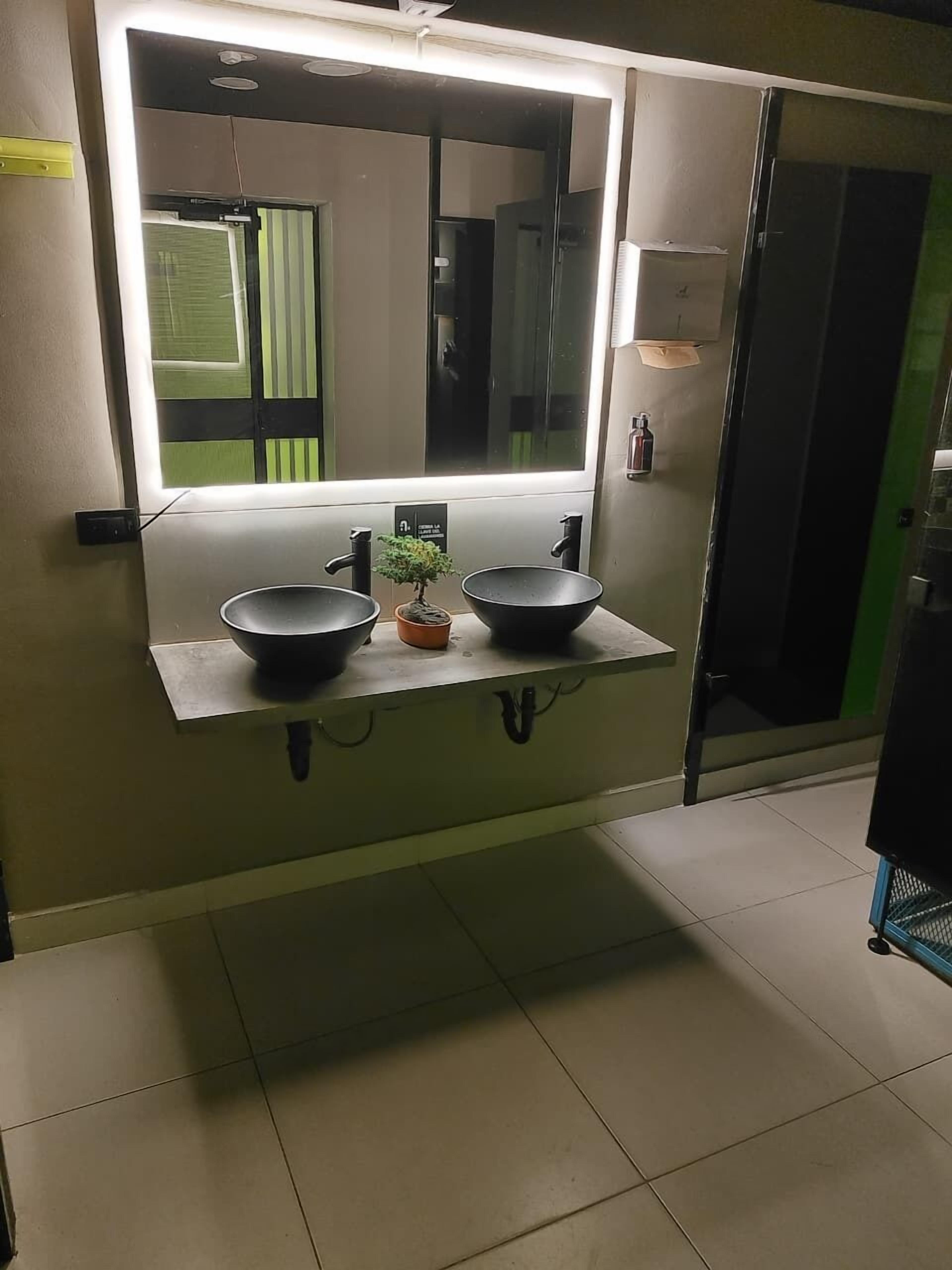 Een badkamer met een grote spiegel, twee wastafels en een kleine plant in pot.