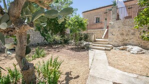Un patio con una escalera de piedra que lleva a un edificio, rodeado de cactus y plantas pequeñas.